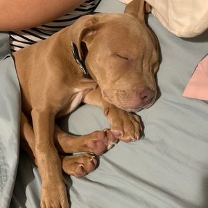 Meet your Posher, Nadia